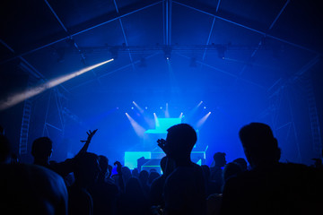 Fans enjoying a music festival