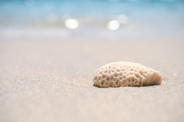 Summer vacation and travel holiday concept. Blur beautiful seashell sand tropical beach with bokeh sunlight wave abstract background.
