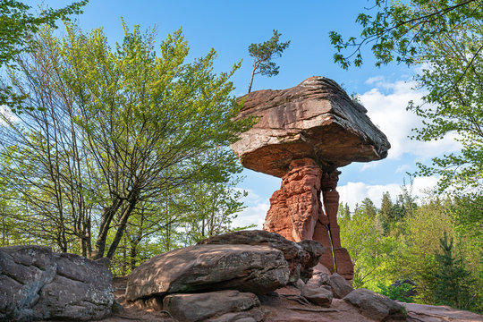 der Teufelstisch, Wahrzeichen im Pf&auml;lzerwald