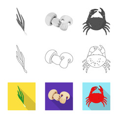 Isolated object of taste and product icon. Set of taste and cooking stock symbol for web.