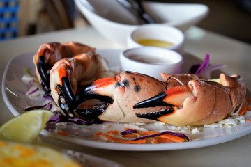 Stone crab claws, served on the plate, with some sauce jars. Miami, Florida, USA © Kriste