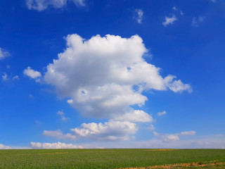 Single Cloud over green Meadow - 268146339