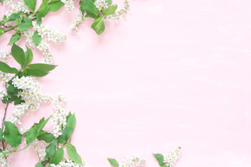 Obraz na płótnie Canvas Flowers composition. Spring or summer background; fresh flowers bird cherry on pink background. - Flat lay, top view, copy space. - Image
