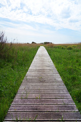 Wooden Pathway trough the Moor - 268148326