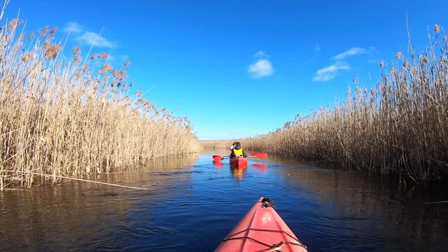 Group of people in kayaks among reeds on the autumn river.