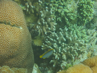 Ecosistema lleno de vida