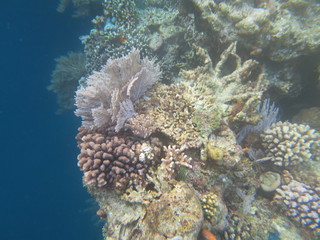 Ecosistema lleno de vida