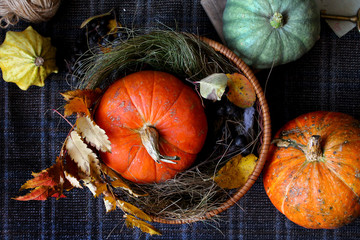autumn pumpkin rustic