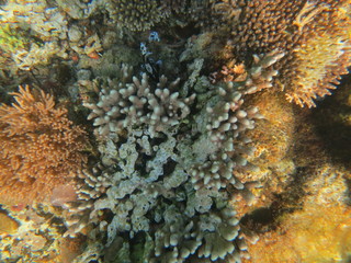 Ecosistema lleno de vida