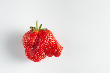 Ugly strawberry isolated at white background. Strange strawberry looks like elephant head. Copy space