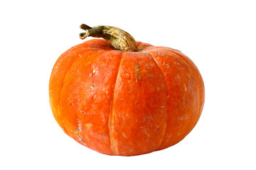 pumpkin autumn isolated on white background