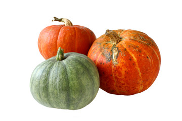 pumpkin autumn isolated on white background