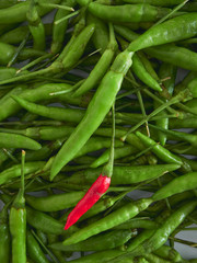 A Red Chili pepper with Green chili peppers