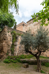 Fototapeta premium Free transit areas in the outdoor gardens of the Alhambra in Granada, Spain