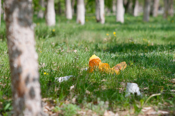 trash in the park
