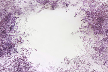 Flowers in lavender colors on white background. Flat lay, copy space. The frame for the text of the...