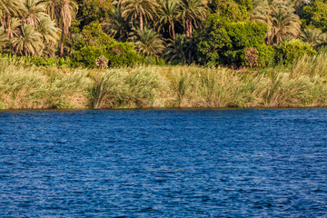 View of Nile river in Luxor, Egypt