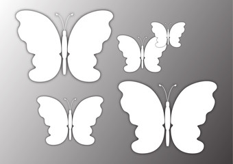 Beautiful abstract background with a white silhouette of a butterfly on a light background. Vector illustration for your design.