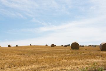 収穫が終わった麦畑と麦稈ロール