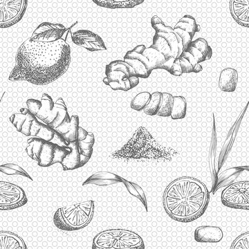 Seamless pattern hand drawn of Ginger roots, lemon, lives and flowers in black color white background. Retro vintage graphic design Botanical sketch drawing, engraving style.
