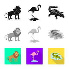 Vector design of nature  and fun  logo. Collection of nature  and entertainment stock vector illustration.