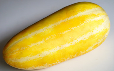 Timun suri or Cucurbitaceae on white background. 