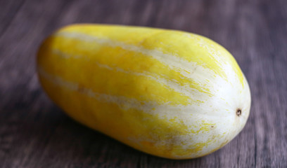 Timun suri or Cucurbitaceae on wood background. 
