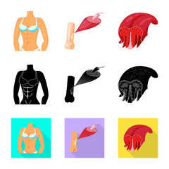 Vector illustration of fiber and muscular symbol. Collection of fiber and body  vector icon for stock.