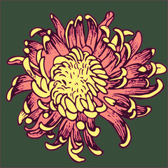  Vector image of a flower in art sketching style