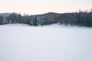 Winter forest with Beech trees and Pinophyta covered with white snow. Winter landscape. Winter scene in mountains, Monte Cimone, northern Apennines, Italy