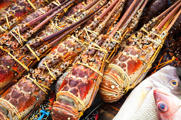 Catch of red lobsters close-up photo