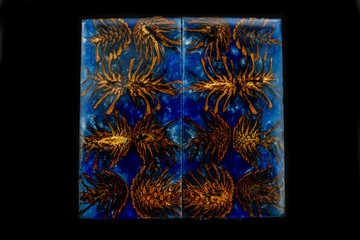 Pine cone casting epoxy resin stabilizing  for blanks on art black background