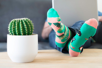 A man in crazy multi-coloured socks with feet and a cactus on table. Man working on a laptop computer at home