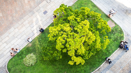 some people from above sitting at a small city park green - obrazy, fototapety, plakaty