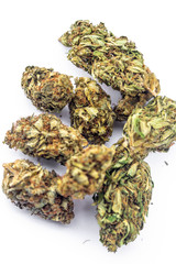 Legal Marijuana flowers on simple background