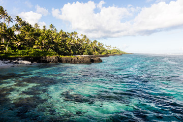 Clear turquoise water and palm trees on tropical island Samoa in Polynesia