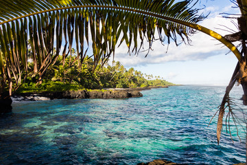 Clear turquoise water and palm trees on tropical island Samoa in Polynesia