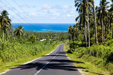 Palm trees on tropical island with white sandy beach and black rocks