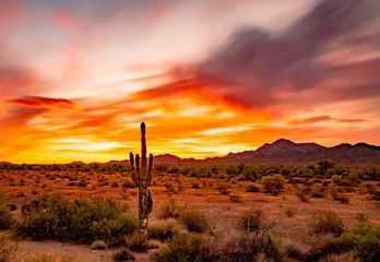 Schilderijen op glas Buetiful zonsondergang in de woestijn, Quartzsite Arizona © David