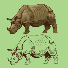 Fototapeta premium rhino isolated on white background