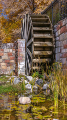 Clear Vertical Wooden water wheel and flume at a reflective pond with grasses and algae