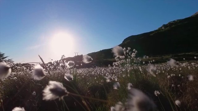 Norwegian coast grassy hills Molde Norway
