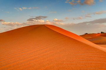 Fototapeta na wymiar Close up ridges of sand dunes in the Sahara desert