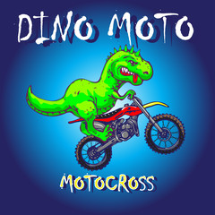 vector image of funny dinosaur on a bicycle for motocross, made in the style of cartoons.