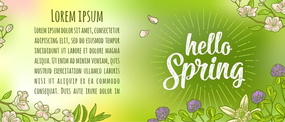 Hello Spring lettering. Sakura blossom. Cherry branch with flowers, bud.