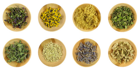 Healing herbs in wooden bowls isolated on white background