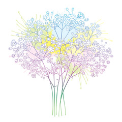 Bouquet of outline Gypsophila or Baby's breath flower bunch and bud in pastel pink and blue isolated on white background.