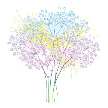 Bouquet Of Outline Gypsophila Or Baby S Breath Flower Bunch And Bud In Pastel Pink And Blue Isolated On White Background Stock Vector Adobe Stock