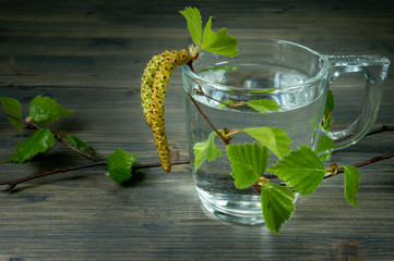 Birch tree twig with leaves and mug with birch sap