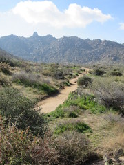 View of an empty trail path in the Sonoran desert leading up to Tom's Thumb near Phoenix, Arizona